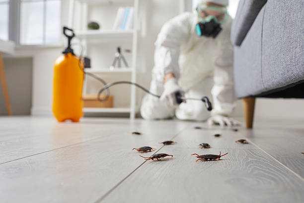 Trusted Rodent Control service in Kennett Square, PA - Nex Pest Control
