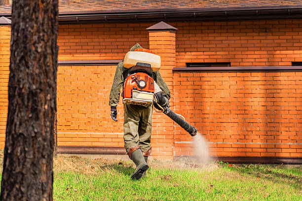 Trusted Ant Control service in Kennett Square, PA - Nex Pest Control
